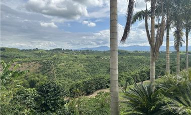 Se Vende Finca Cafetera En Alcala Norte Del Valle Limites Con Quindio