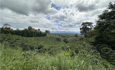 Se Vende Finca Cafetera En Alcala Norte Del Valle Limites Con Quindio