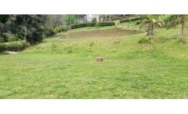 VENDO FINCA EN EL SANTUARIO 2.236 MTS CERCA DE MARINILLA CH