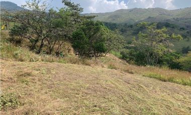 (MC) Lote en Condominio en Venta en Cascadas de Dapa