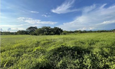 Se Venden Lotes Campestres Parcelación Cerrada En La Tebaida Quindío