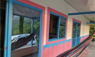 Se Vende Finca Sembrada En Aguacate Ideal Para Glamping En Pijao