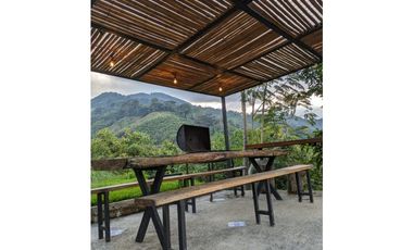 Se Vende Finca Sembrada En Aguacate Ideal Para Glamping En Pijao