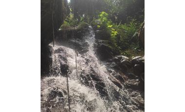 Se Vende Finca Sembrada En Aguacate Ideal Para Glamping En Pijao
