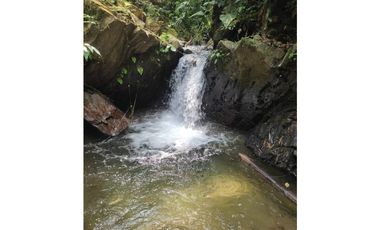 Se Vende Finca Sembrada En Aguacate Ideal Para Glamping En Pijao