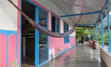 Se Vende Finca Sembrada En Aguacate Ideal Para Glamping En Pijao