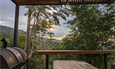 Se Vende Finca Sembrada En Aguacate Ideal Para Glamping En Pijao