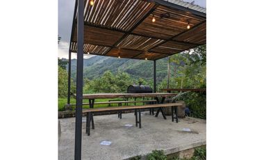 Se Vende Finca Sembrada En Aguacate Ideal Para Glamping En Pijao