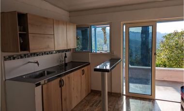 Se Vende Finca Sembrada En Aguacate Ideal Para Glamping En Pijao