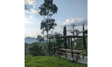 Se Vende Finca Sembrada En Aguacate Ideal Para Glamping En Pijao