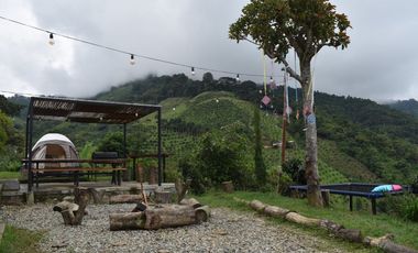 Se Vende Finca Sembrada En Aguacate Ideal Para Glamping En Pijao