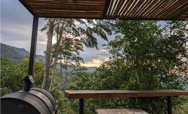 Se Vende Finca Sembrada En Aguacate Ideal Para Glamping En Pijao