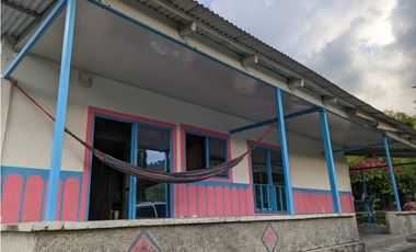 Se Vende Finca Sembrada En Aguacate Ideal Para Glamping En Pijao