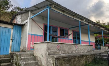 Se Vende Finca Sembrada En Aguacate Ideal Para Glamping En Pijao