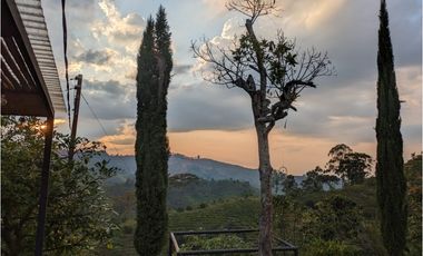 Se Vende Finca Sembrada En Aguacate Ideal Para Glamping En Pijao
