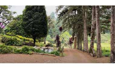VENTA FINCA EN SAN FRANCISCO CUNDINAMARCA