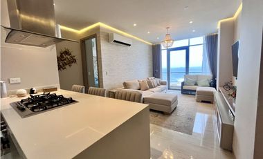 Apartamento en venta en punta roca