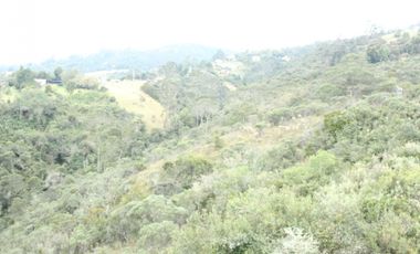 Venta o arriendo Casa Vereda el Hato, La Calera