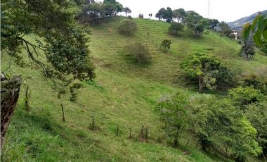 Lote en venta en Barbosa Vereda Popalito