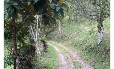 Lote en venta en Barbosa Vereda Popalito