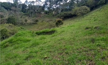 Lote en venta en Barbosa Vereda Popalito