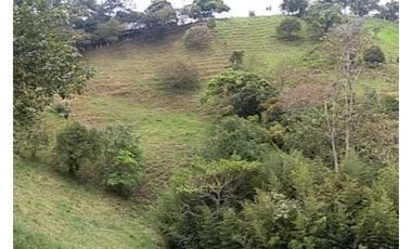 Lote en venta en Barbosa Vereda Popalito
