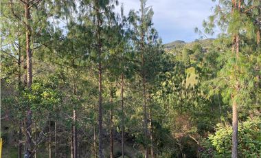 CASA EN CONDOMINIO  EN VENTA,GUATAPÉ