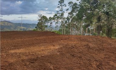 VENTA AMPLIO LOTE DE 2926M2 ALTO DE BOQUERON DOSQUEBRADAS