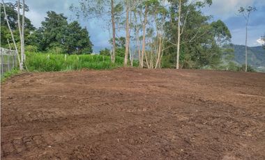 VENTA AMPLIO LOTE DE 2926M2 ALTO DE BOQUERON DOSQUEBRADAS