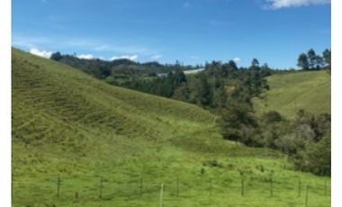 Lote en venta en El Retiro Vereda El Chuscal