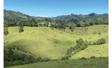 Lote en venta en El Retiro Vereda El Chuscal