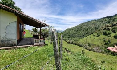 Venta de Lote San Jeronimo vereda Quimbayo