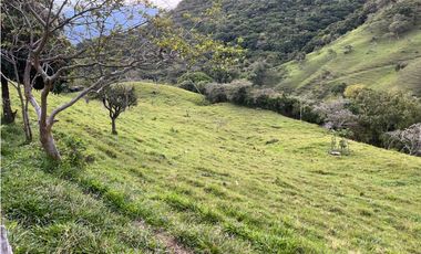 Venta de Lote San Jeronimo vereda Quimbayo