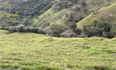 Venta de Lote San Jeronimo vereda Quimbayo