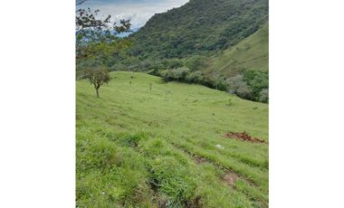 Venta de Lote San Jeronimo vereda Quimbayo