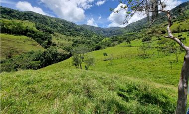 Venta de Lote San Jeronimo vereda Quimbayo