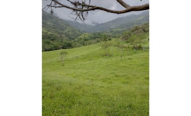 Venta de Lote San Jeronimo vereda Quimbayo