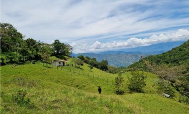 Venta de Lote San Jeronimo vereda Quimbayo