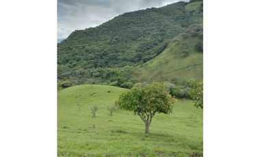 Venta de Lote San Jeronimo vereda Quimbayo