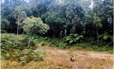 Se vende Lote en Envigado La Miel,Antioquia