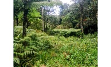 Se vende Lote en Envigado La Miel,Antioquia