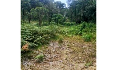 Se vende Lote en Envigado La Miel,Antioquia