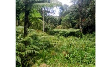 Se vende Lote en Envigado La Miel,Antioquia