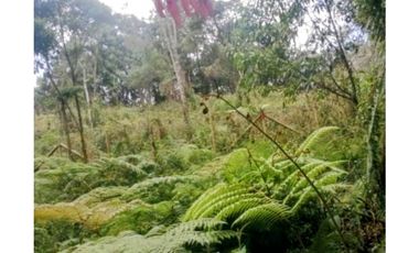 Se vende Lote en Envigado La Miel,Antioquia