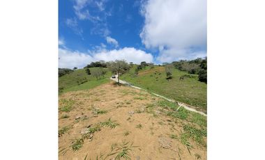 Espectaculares Lotes En San Jerónimo
