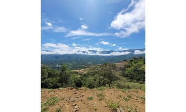 Espectaculares Lotes En San Jerónimo