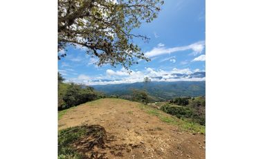 Espectaculares Lotes En San Jerónimo