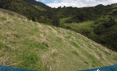 Vendo Lote de 8.900mts en Tabio Vereda Llano Grande