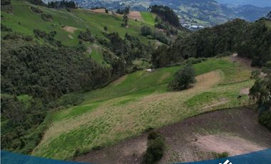 Vendo Lote de 8.900mts en Tabio Vereda Llano Grande