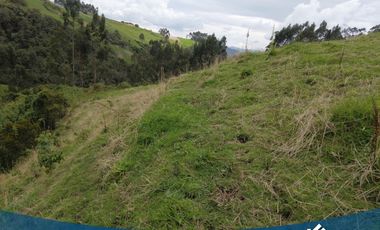 Vendo Lote de 8.900mts en Tabio Vereda Llano Grande